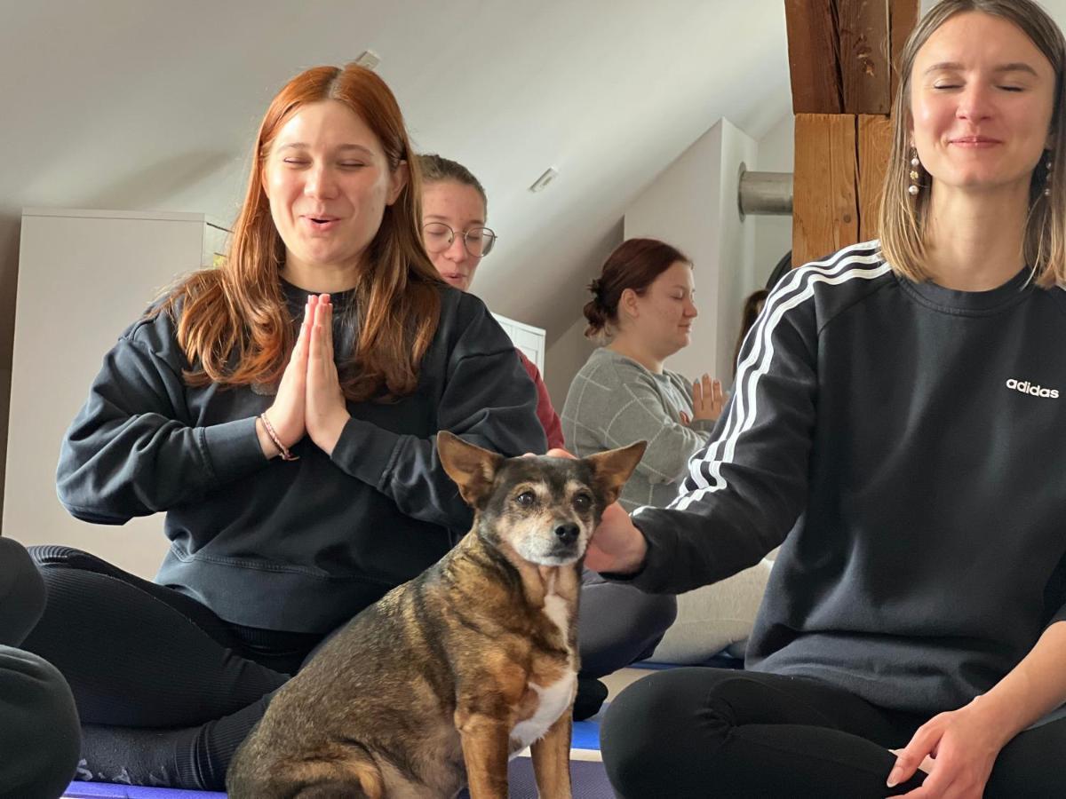 Om Yoga Center Appartement Slovenska Bistrica Buitenkant foto