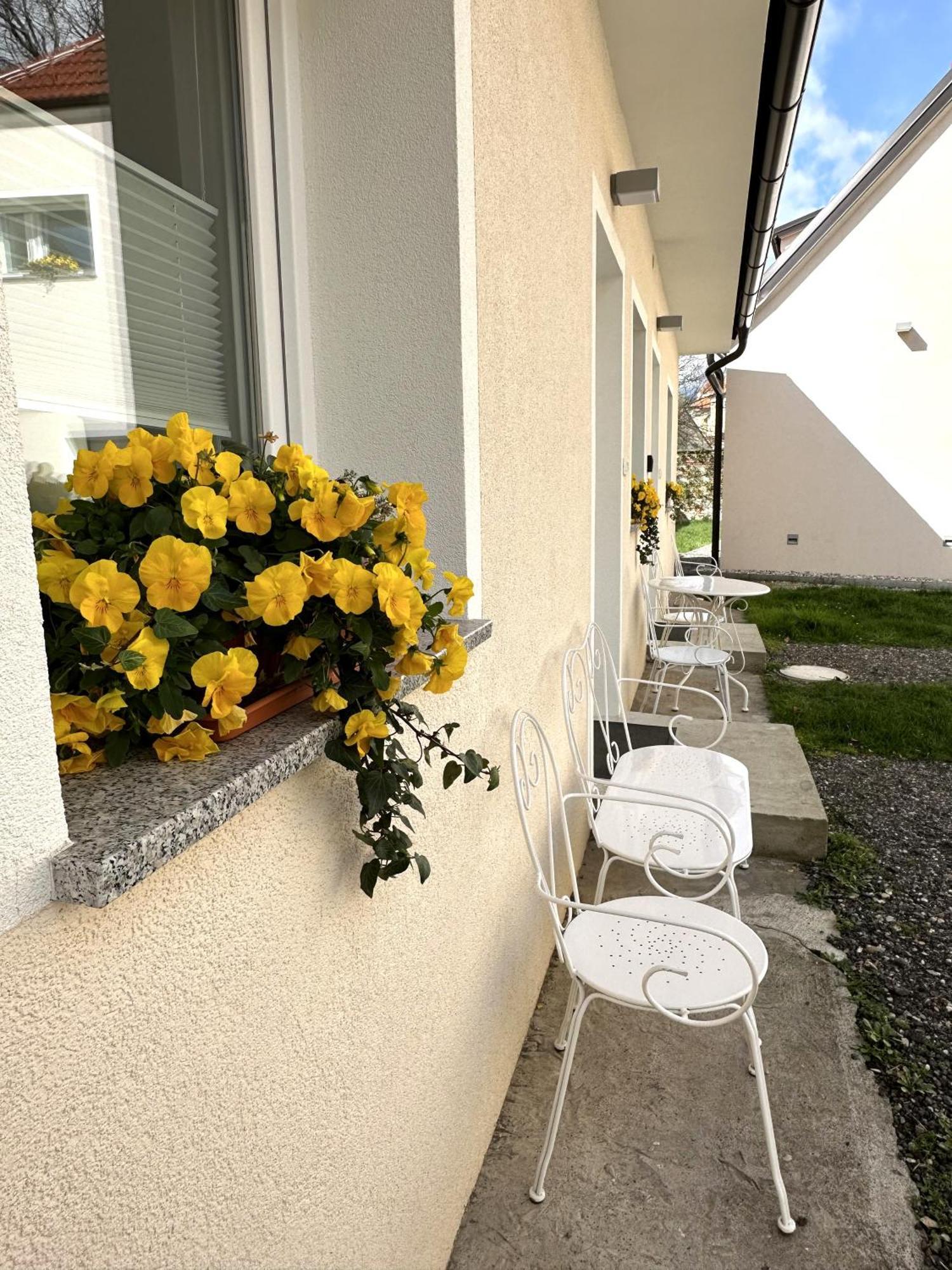 Om Yoga Center Appartement Slovenska Bistrica Buitenkant foto